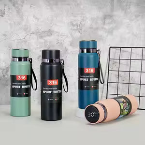 800ML Stainless Steel Thermos Water Bottle with LED Temperature Display