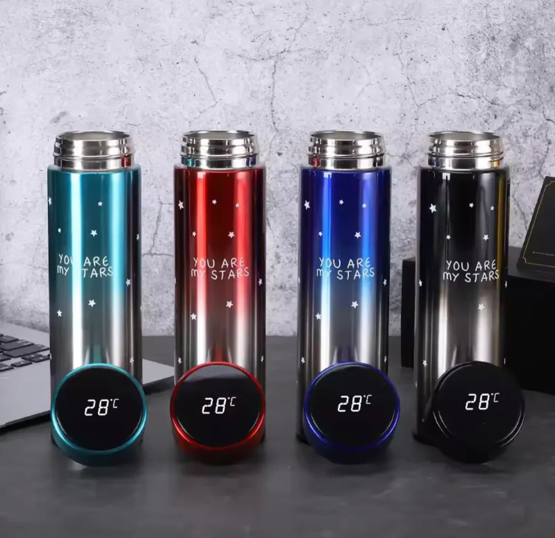 500ml thermos water bottle with LED temperature display in Pakistan